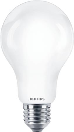 PHILIPS COREPRO STD 17,5W (150W) E27 A67 865 MAT - Easylight.dk